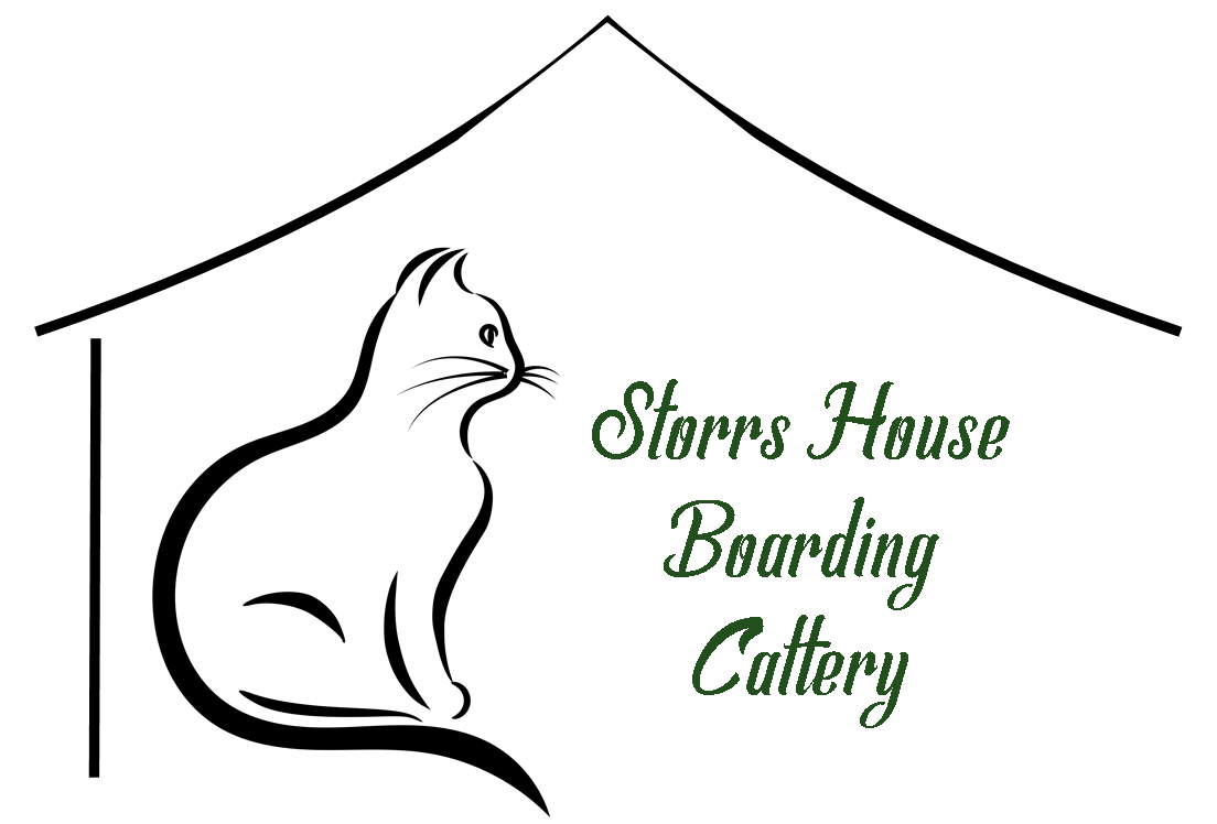 Welcome to Storrs House Boarding Cattery